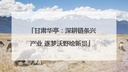 甘肃华亭：深耕链条兴产业 逐梦沃野绘新景