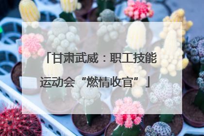 甘肃武威：职工技能运动会“燃情收官”