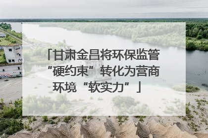甘肃金昌将环保监管“硬约束”转化为营商环境“软实力”