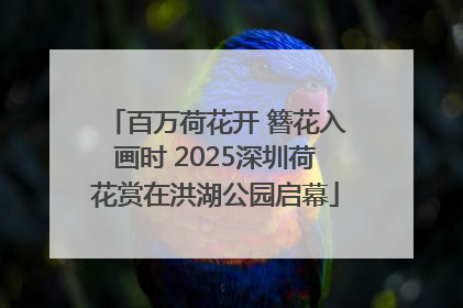 百万荷花开 簪花入画时 2025深圳荷花赏在洪湖公园启幕