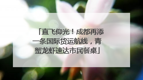 直飞仰光！成都再添一条国际货运航线，青蟹龙虾速达市民餐桌