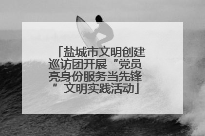 盐城市文明创建巡访团开展“党员亮身份服务当先锋”文明实践活动