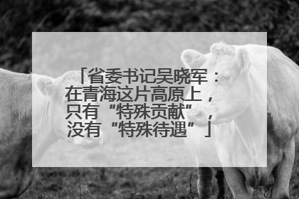 省委书记吴晓军：在青海这片高原上，只有“特殊贡献”，没有“特殊待遇”