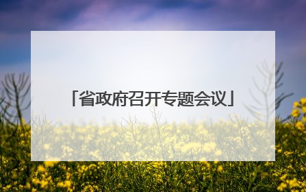 省政府召开专题会议