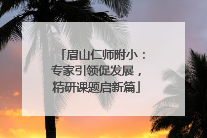 眉山仁师附小：专家引领促发展，精研课题启新篇