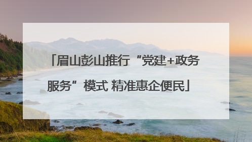 眉山彭山推行“党建+政务服务”模式 精准惠企便民
