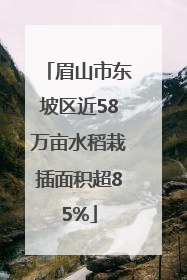 眉山市东坡区近58万亩水稻栽插面积超85%