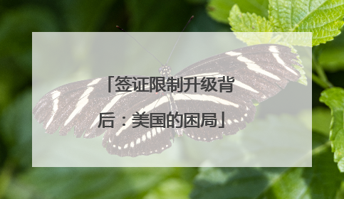 签证限制升级背后：美国的困局