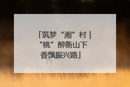 筑梦“湘”村｜“桃”醉衡山下 香飘振兴路