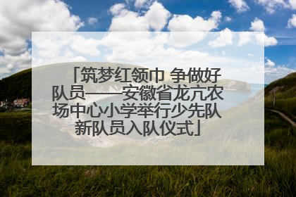 筑梦红领巾 争做好队员——安徽省龙亢农场中心小学举行少先队新队员入队仪式