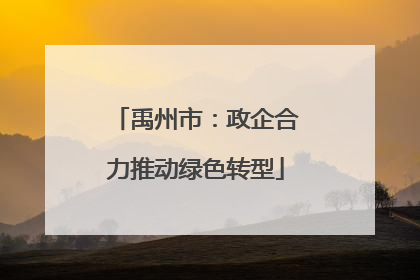 禹州市：政企合力推动绿色转型