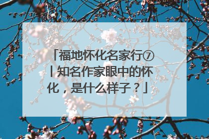 福地怀化名家行⑦丨知名作家眼中的怀化，是什么样子？