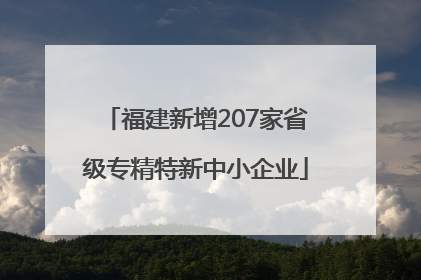 福建新增207家省级专精特新中小企业