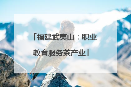 福建武夷山：职业教育服务茶产业