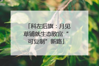 科左后旗：月见草铺就生态致富“可复制”新路