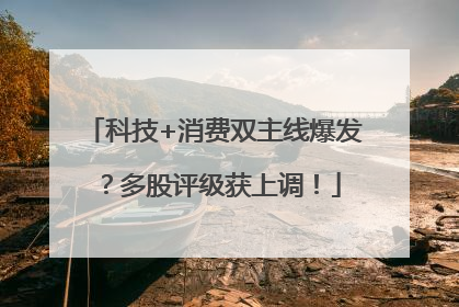 科技+消费双主线爆发？多股评级获上调！