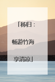 秭归：畅游竹海享清凉