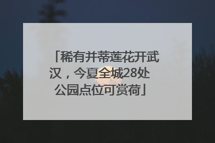 稀有并蒂莲花开武汉，今夏全城28处公园点位可赏荷