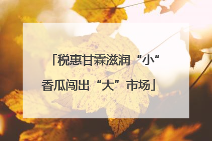 税惠甘霖滋润“小”香瓜闯出“大”市场