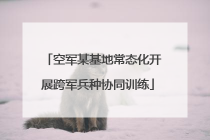 空军某基地常态化开展跨军兵种协同训练