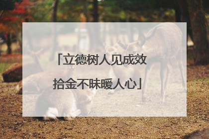 立德树人见成效 拾金不昧暖人心