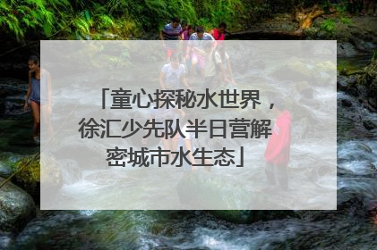 童心探秘水世界，徐汇少先队半日营解密城市水生态