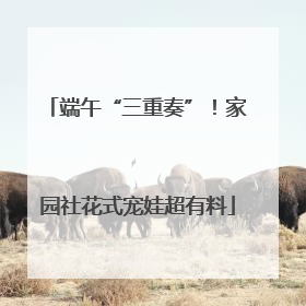 端午“三重奏”！家园社花式宠娃超有料