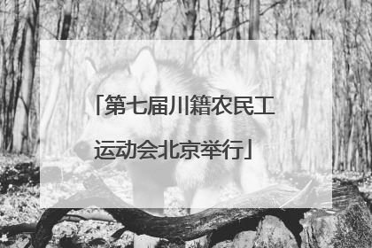 第七届川籍农民工运动会北京举行