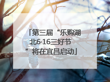 第三届“乐购湖北6·16三好节”将在宜昌启动