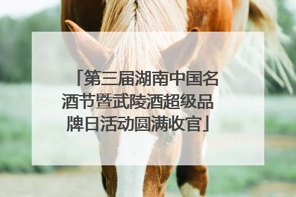 第三届湖南中国名酒节暨武陵酒超级品牌日活动圆满收官