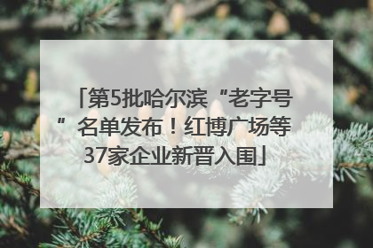 第5批哈尔滨“老字号”名单发布！红博广场等37家企业新晋入围
