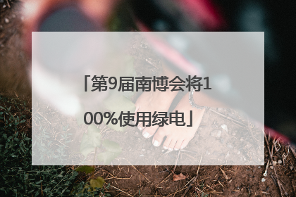 第9届南博会将100%使用绿电