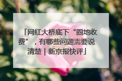 网红大桥底下“圈地收费”，有哪些问题需要说清楚｜新京报快评