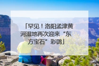 罕见！洛阳孟津黄河湿地再次迎来“东方宝石”彩鹮