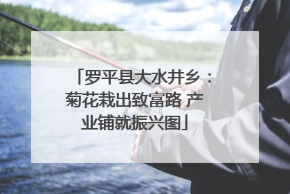 罗平县大水井乡：菊花栽出致富路 产业铺就振兴图