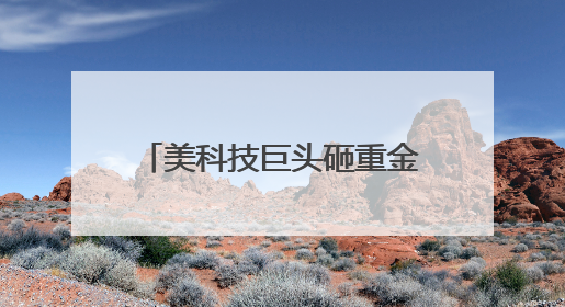 美科技巨头砸重金争抢稀缺AI人才