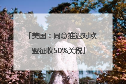 美国：同意推迟对欧盟征收50%关税