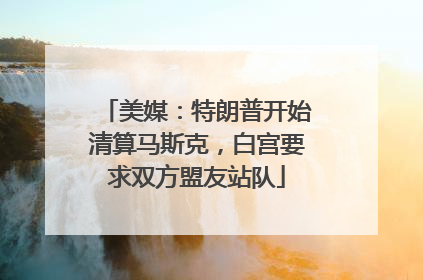 美媒：特朗普开始清算马斯克，白宫要求双方盟友站队