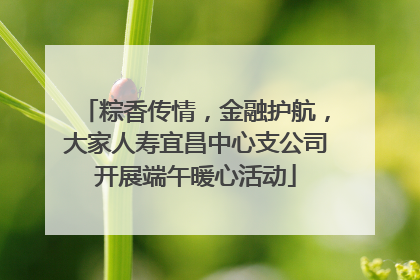 粽香传情，金融护航，大家人寿宜昌中心支公司开展端午暖心活动