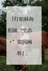 红松林海织就“生态+”富民画卷