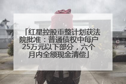 红星控股重整计划获法院批准：普通债权中每户25万元以下部分，六个月内全额现金清偿