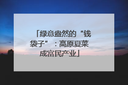 绿意盎然的“钱袋子”：高原夏菜成富民产业