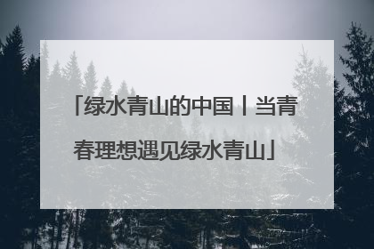 绿水青山的中国丨当青春理想遇见绿水青山