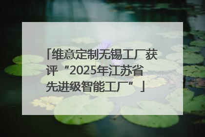 维意定制无锡工厂获评“2025年江苏省先进级智能工厂”