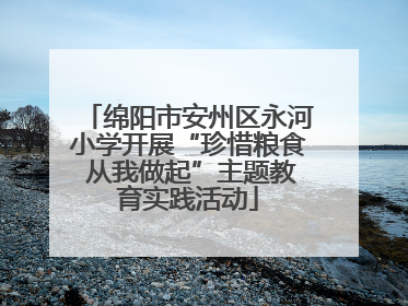 绵阳市安州区永河小学开展“珍惜粮食 从我做起”主题教育实践活动