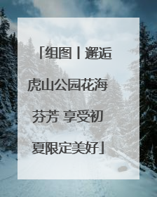 组图丨邂逅虎山公园花海芬芳 享受初夏限定美好