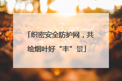织密安全防护网，共绘烟叶好“丰”景