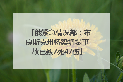 俄紧急情况部：布良斯克州桥梁坍塌事故已致7死47伤