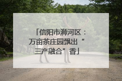 信阳市浉河区：万亩茶庄园飘出“三产融合”香