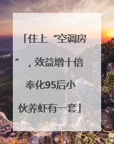 住上“空调房”，效益增十倍 奉化95后小伙养虾有一套